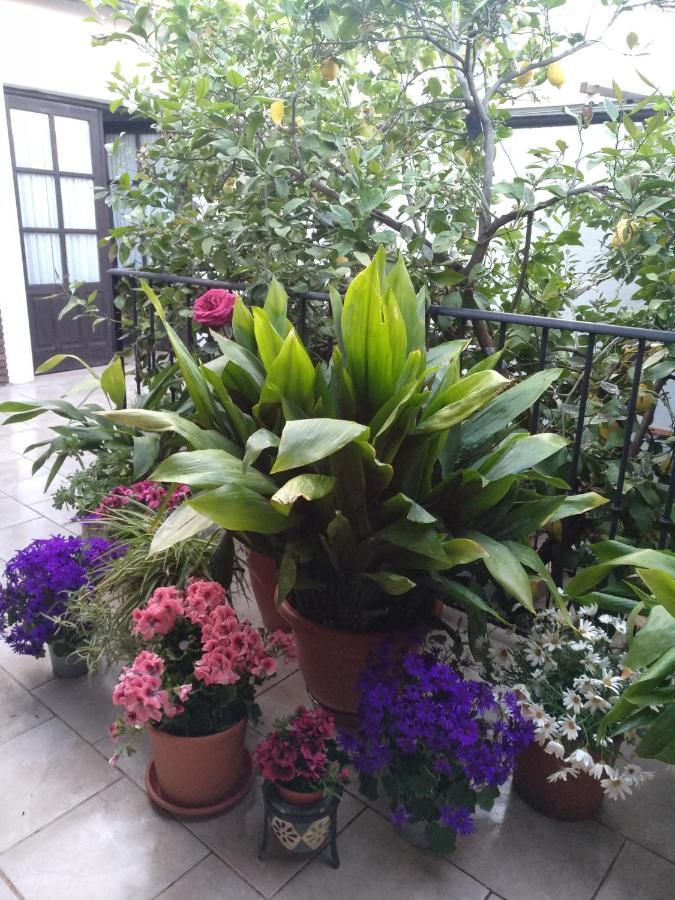 Bed and Breakfast El Patio Andalu Ardales Zewnętrze zdjęcie