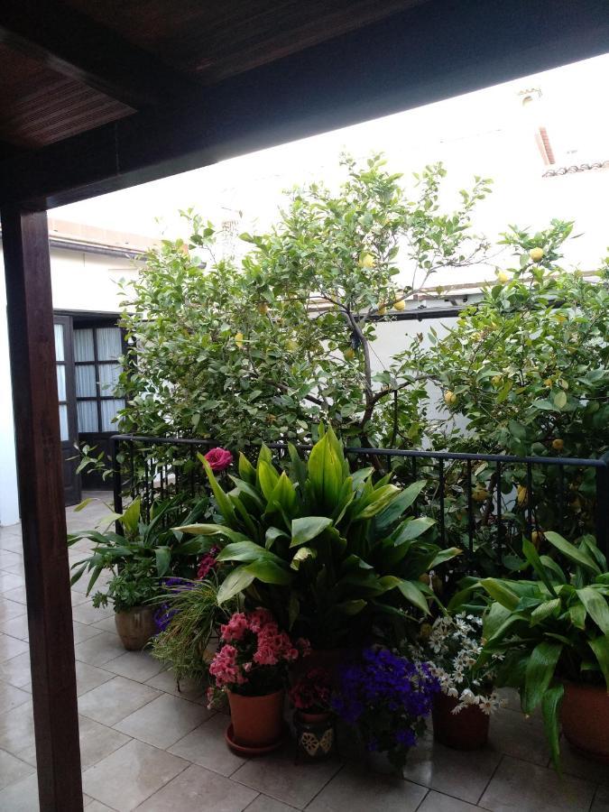 Bed and Breakfast El Patio Andalu Ardales Zewnętrze zdjęcie