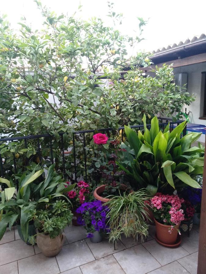 Bed and Breakfast El Patio Andalu Ardales Zewnętrze zdjęcie