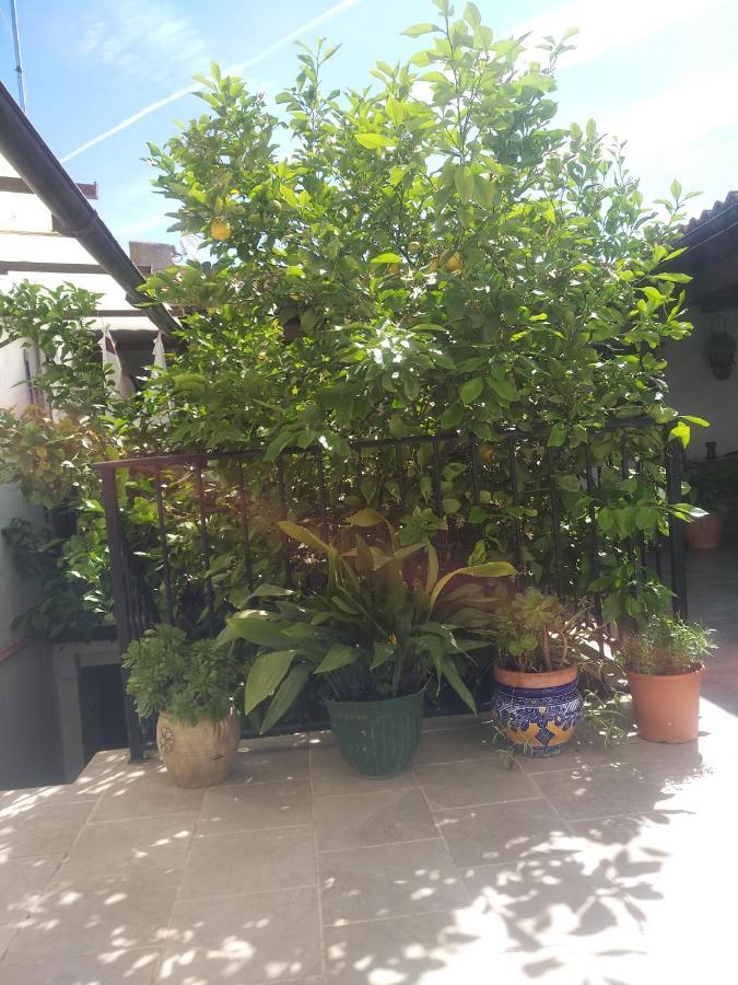 Bed and Breakfast El Patio Andalu Ardales Zewnętrze zdjęcie